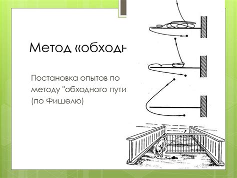 Метод 4: Изучить направление пути хаджі