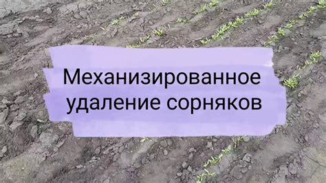 Механизированное удаление