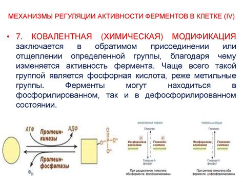 Механизмы активности энтеросгеля