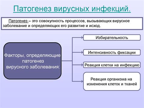 Механизмы вирусных инфекций