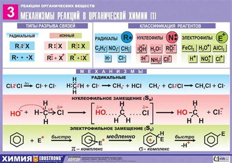 Механизмы возникновения страховых реакций