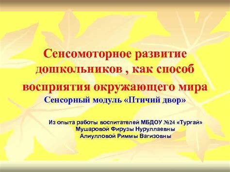 Механизмы восприятия окружающего мира: как мы понимаем реальность