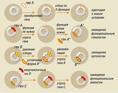 Механизмы горизонтального переноса генов