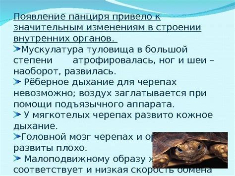 Механизмы дыхания черепах под водой