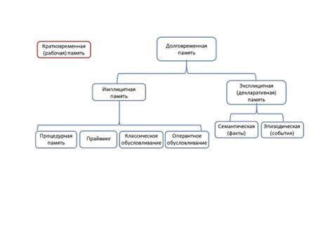 Механизмы закрепления информации в долговременной памяти