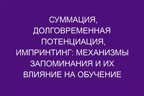 Механизмы запоминания и влияние эмоций при сохранении в памяти человеческих воспоминаний