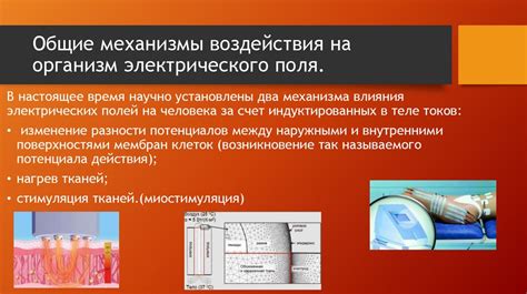 Механизмы и принципы воздействия охлаждения на организм