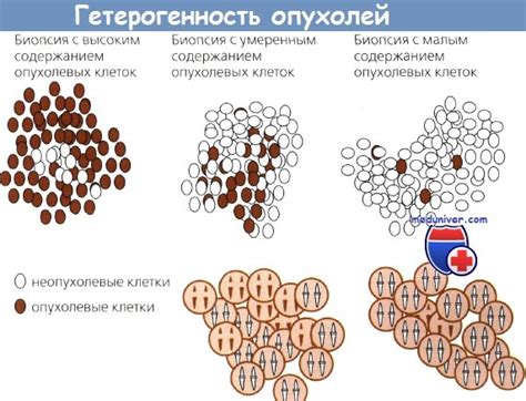 Механизмы мутации генов