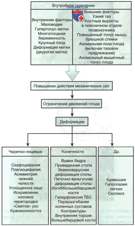 Механизмы опознания новорожденных и их сравнение