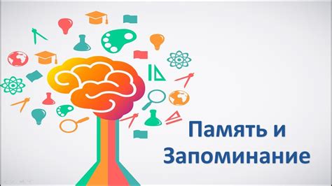 Механизмы памяти и запоминания учтены, чтобы запомнить информацию через звук