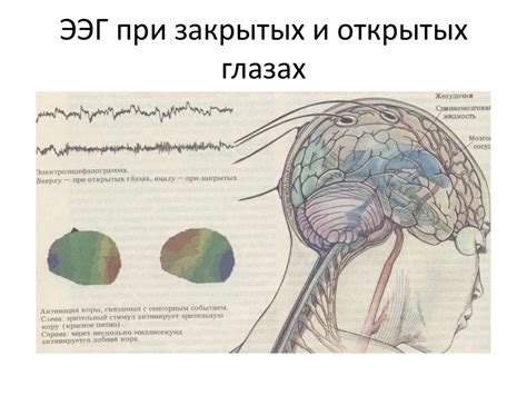 Механизмы потери равновесия при закрытых глазах