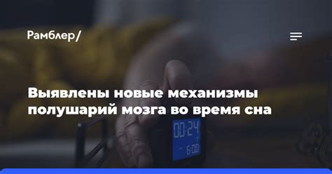 Механизмы работы мозга во время сна