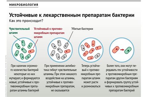 Механизмы развития устойчивости бактерий к антибиотикам