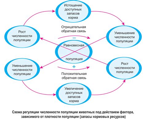 Механизмы регуляции пигментации