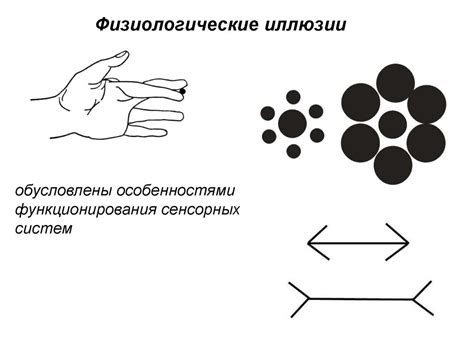 Механизмы сенсорных ощущений