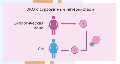 Механизмы суррогатного материнства