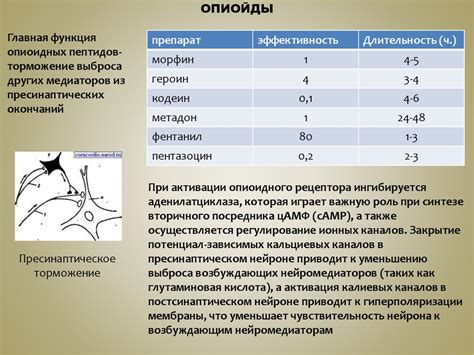 Механизмы формирования IQ