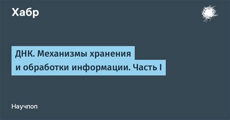 Механизмы хранения информации