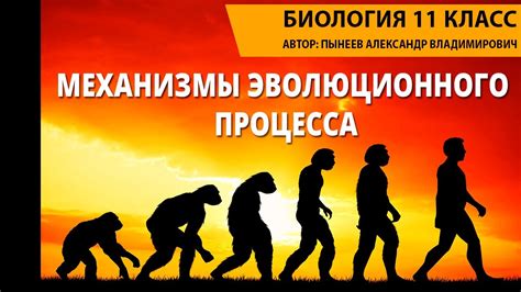 Механизмы эволюционного развития