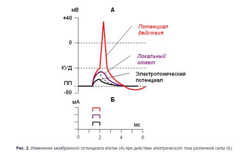 Механизм возникновения загадочной дырки