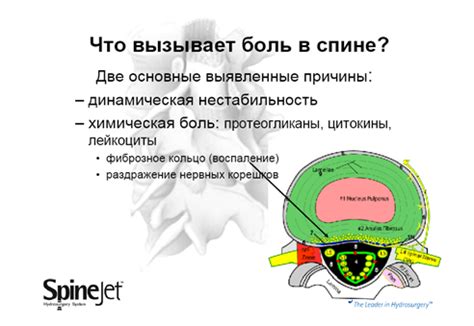 Механизм возникновения стука в спине при подавливании