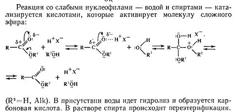 Механизм гидролиза