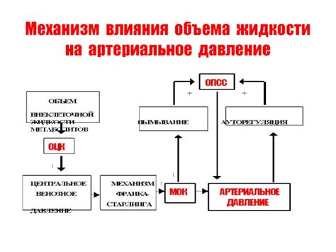 Механизм действия Арбидола на артериальное давление