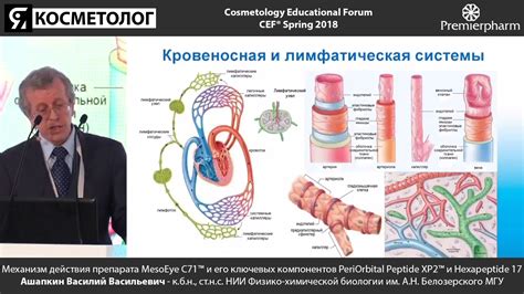 Механизм действия ХСР: пробитие ключевых реакций