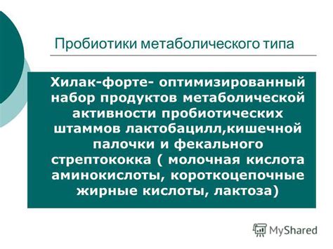 Механизм действия Хилак Форте