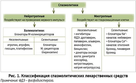 Механизм действия и области применения