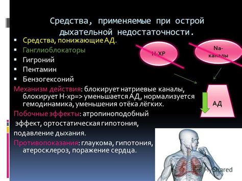 Механизм действия острой пищи на сопли