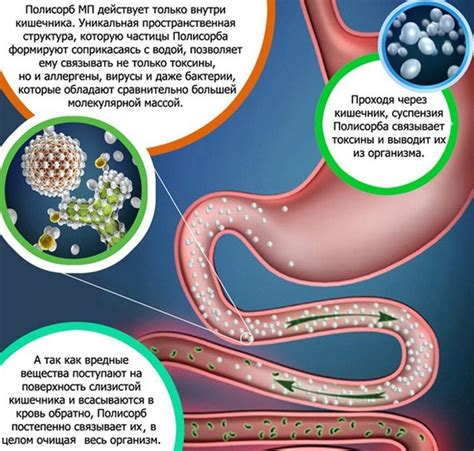 Механизм действия полисорба