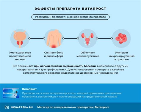 Механизм действия свечей Витапрост