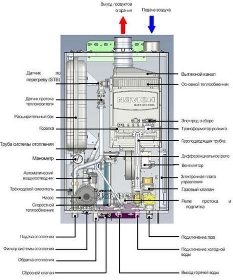 Механизм действия слезоточивого газа: все, что вам нужно знать!