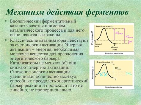 Механизм действия шейвера