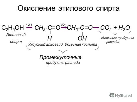 Механизм действия этилового спирта