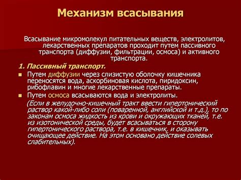 Механизм работы зоны всасывания