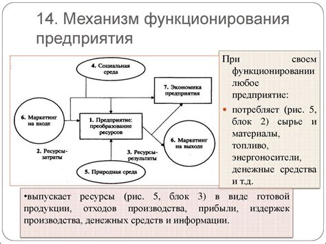 Механизм функционирования ЖКТРР