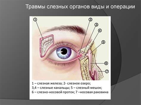 Механическое раздражение слезных путей