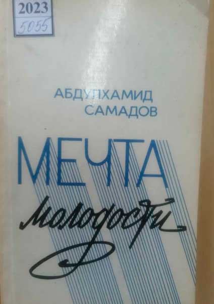 Мечта молодости