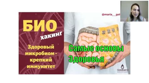 Микробиом и иммунитет: взаимосвязь и исследования