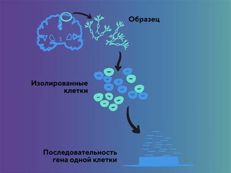 Микро-РНК секвенирование костной ткани