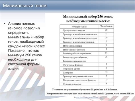 Минимальный набор генов и оболочка