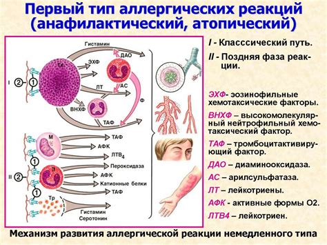 Минимизация аллергических реакций