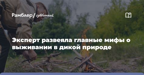 Мифы и реальность о выживании в пиле