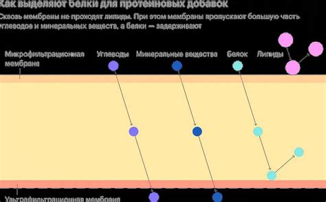 Мифы и факты о протеине и прыщах