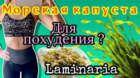 Мифы о морской капусте как средстве для похудения