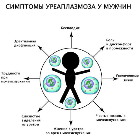 Многообразие штаммов уреаплазмы