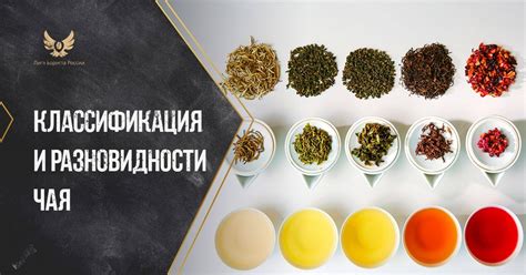 Многофункциональное сочетание чая и меда