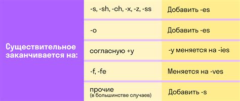 Множественное число в английском языке: зачем его используют?